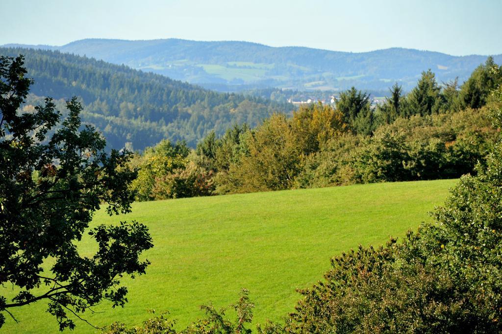 Apartman Na Bubnu Náchod Rom bilde